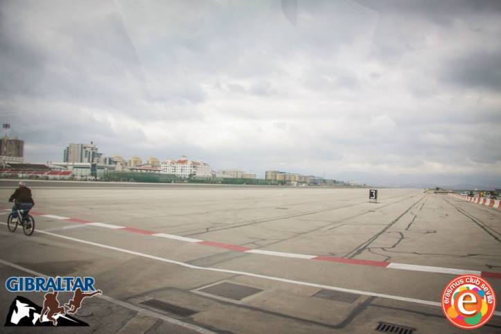 1003578_676126605757359_2014608071_n