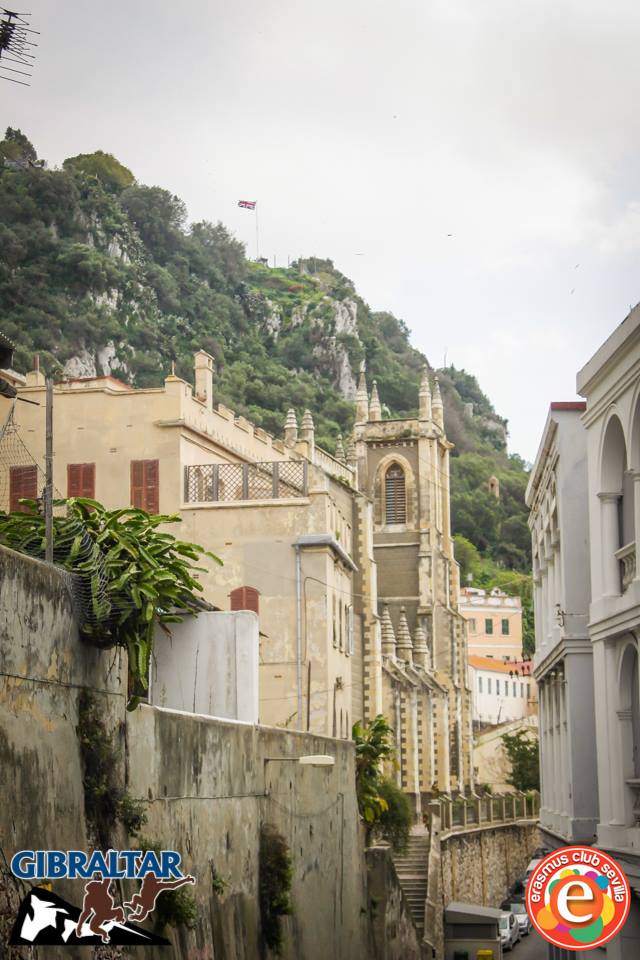 10173515_676130262423660_1081867878_n