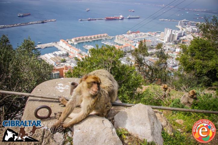 10177374_676129862423700_736691786_n