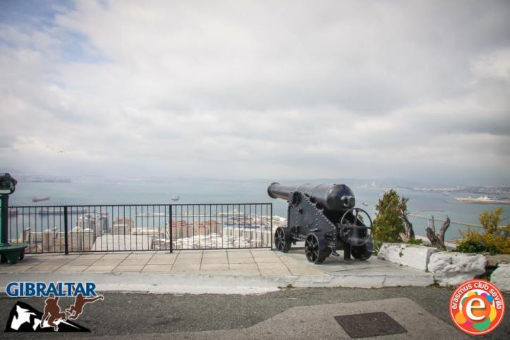 1459068_676129935757026_1541994486_n