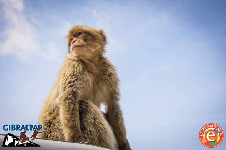 1535386_676129869090366_795606325_n