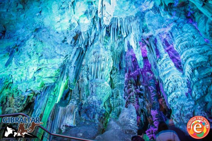 1897786_676128882423798_1231455835_n