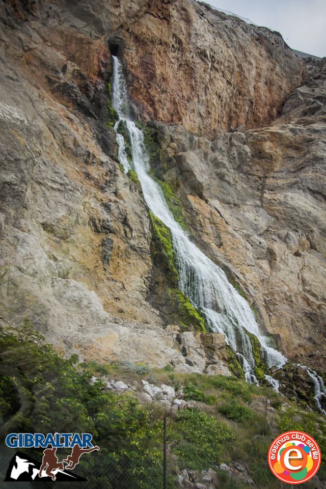 1977465_676127319090621_31400636_n